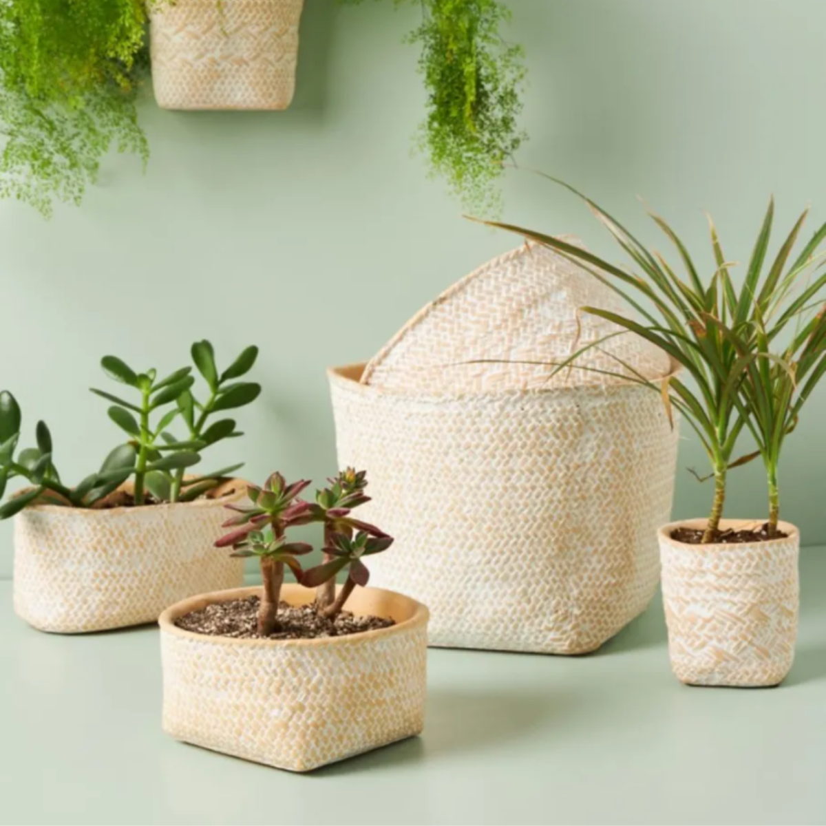 Hudson's Bay Plant Pot