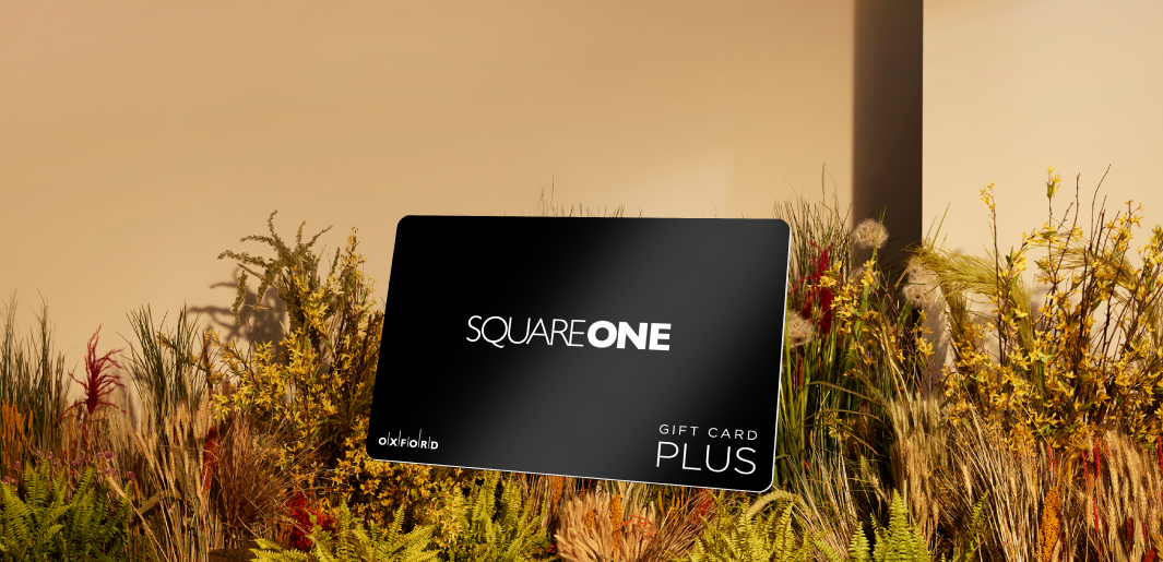 Promotional image of a black Square One gift card floating atop a fall foliage