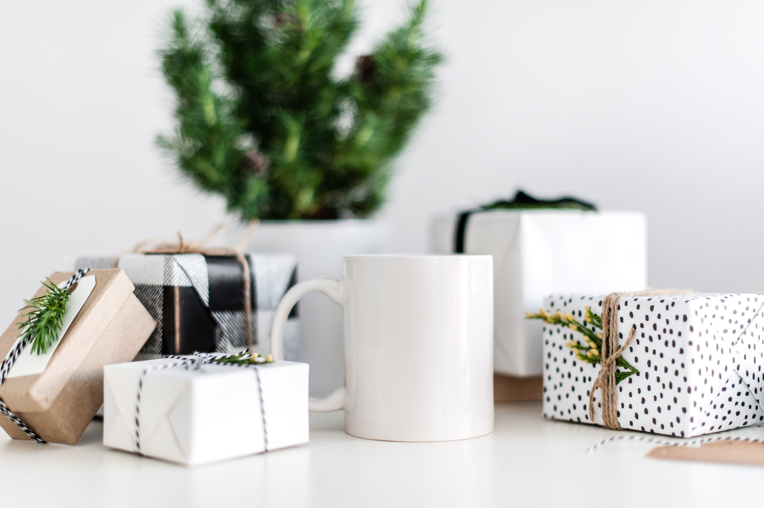 Holiday Gift Guide